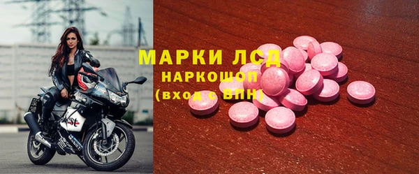 PSILOCYBIN Алзамай
