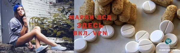PSILOCYBIN Алзамай